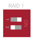 QDA_RAID-1.png