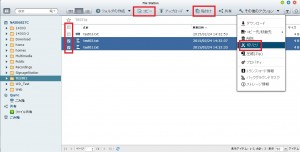 File Station data copy01